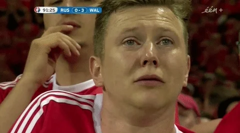 euro 2016 crying GIF by Sporza