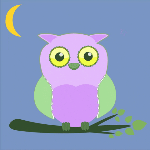 ascompany oops all i need GIF