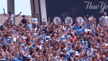 goal fans GIF by NYCFC