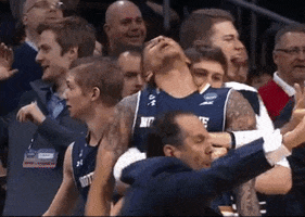 notre dame fainting GIF by Barstool Sports