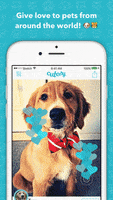 tinder pets GIF by Product Hunt
