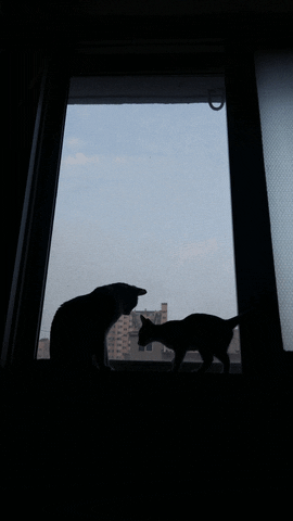 namheekim  GIF