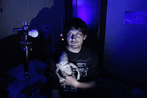 strangerthingsmx strangerthingsmx GIF