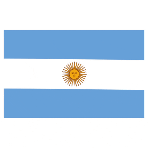 Argentina Flag GIF by Latinoji