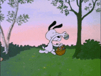 Funny Easter GIFs - Find & Share on GIPHY