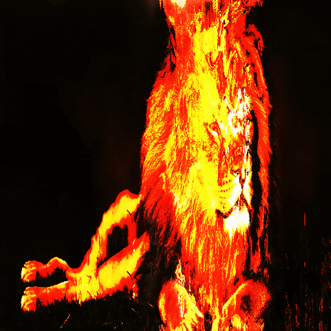 loop burn GIF by Psyklon