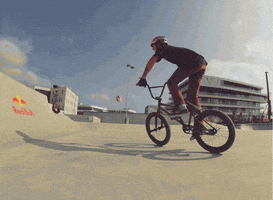 loop wow GIF by Red Bull