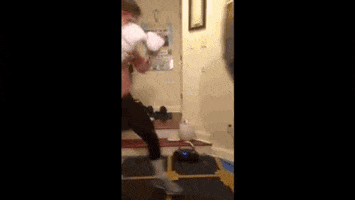 Boxing Rocnationsports GIF by Dustin Fleischer