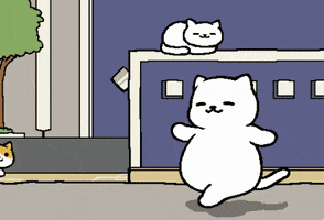 vin cat GIF