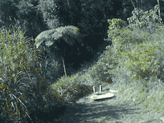 mauxuam woodhenge GIF