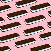 National Ice Cream Sandwich Day GIF by Ryan Seslow