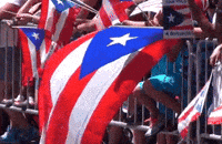 Puerto Rican Flag Gifs Get The Best Gif On Giphy