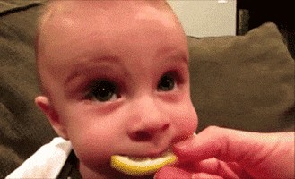 rawr poor baby GIF