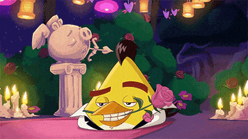 In Love Flirt GIF by Angry Birds