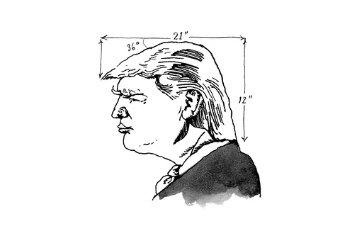 Donald Trump Illustration GIF