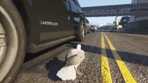 Video Games Seagulls GIF - Find & Share on GIPHY