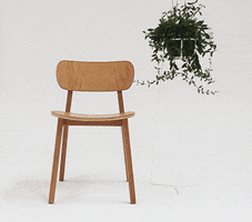 courteneypeters benglass nzdesign furniture GIF