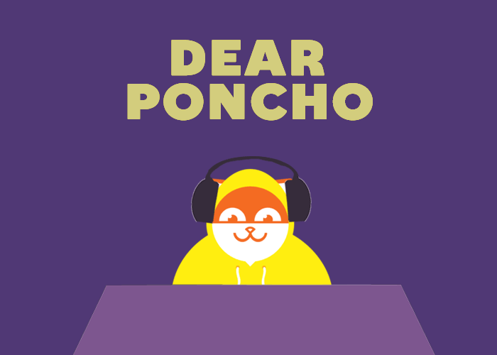 poncho the weathercat