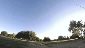 chrisslowik tree fast whoa fpv GIF