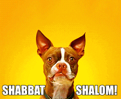 Shabbat Shalom Smiling GIF