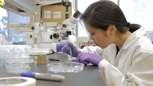 Lab Coat GIFs - Get the best GIF on GIPHY