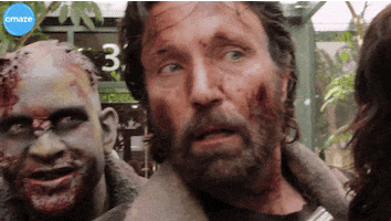 the walking dead what GIF by Omaze