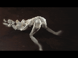 Nœvus GIF by samuelyal