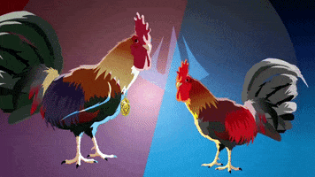comedy central rooster GIF