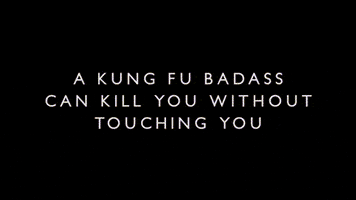 kung fu badass GIF by Shaw Brothers
