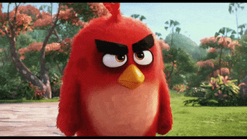 frustrated GIF by Angry Birds