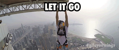 Let It Go Skydive GIF by Red Bull