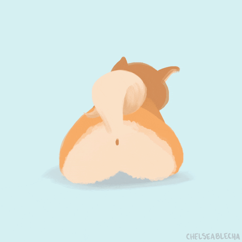 Shiba Inu Lol GIF by Chelsea Blecha