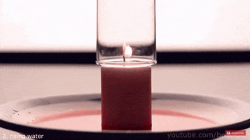 alisun  GIF