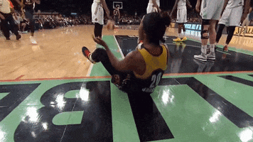 briann january sport GIF by Indiana Fever