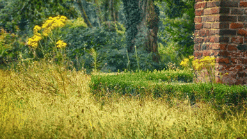 c2noyw1wbwljagvsqgdtywlslmnvbq cinemagraph grave tuin kerk GIF