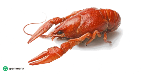 crayfish meme gif
