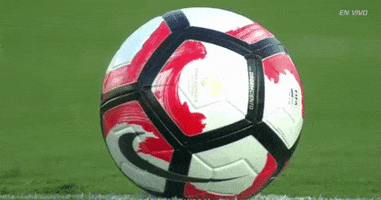 Copa America Centenario Ball GIF by Univision Deportes