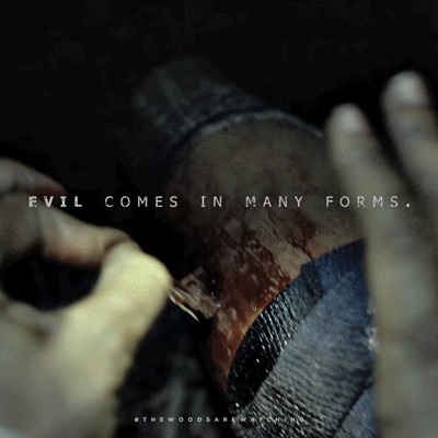 the woods horror GIF by Lionsgate