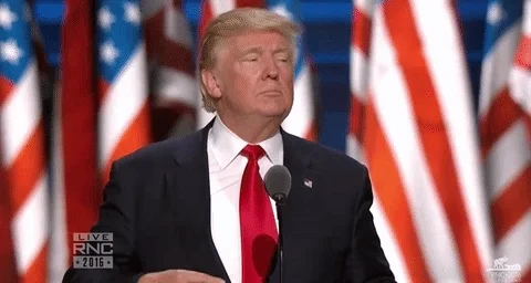 donald trump GIF