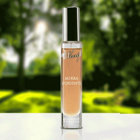 lucianoaiello animals cats dogs GIF