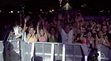 Excited Cheering GIF by Bonnaroo Music and Arts Festival