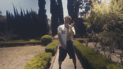 Los Angeles Dodgers GIF by Lil Dicky - Find & Share on GIPHY
