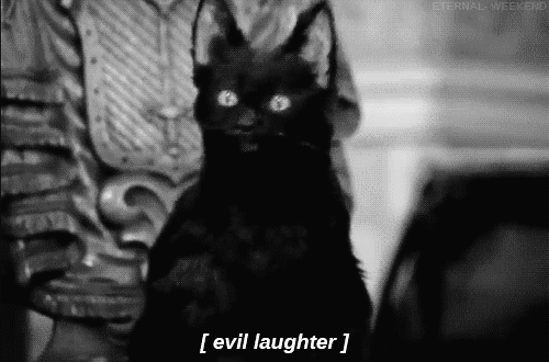 agconti cat evil laughter black cat GIF