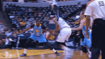 Notre Dame Sport GIF by Indiana Fever