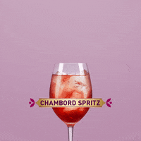 Chambord Spritz GIFs - Get the best GIF on GIPHY