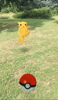 pokemon go accident GIF by Leroy Patterson