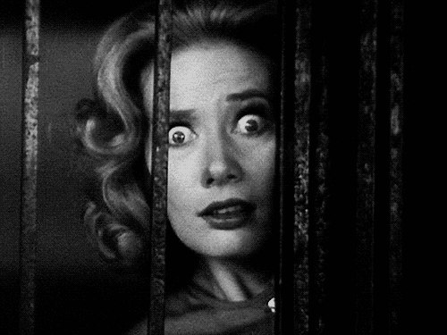 Scared Classic Film GIF by Shudder - Find & Share on GIPHY