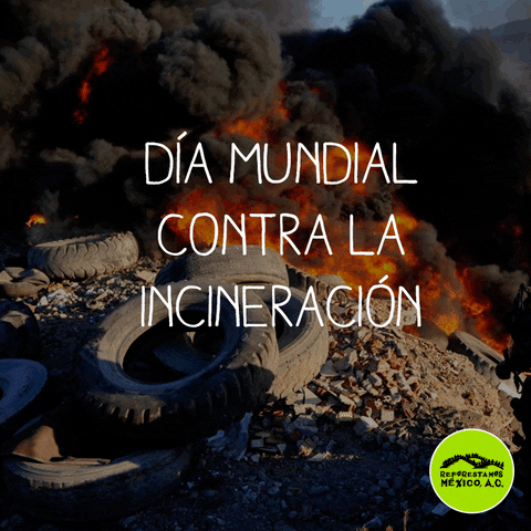 rubenhrodriguez  GIF