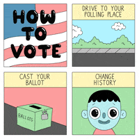 Voting How To GIF by Election 2016