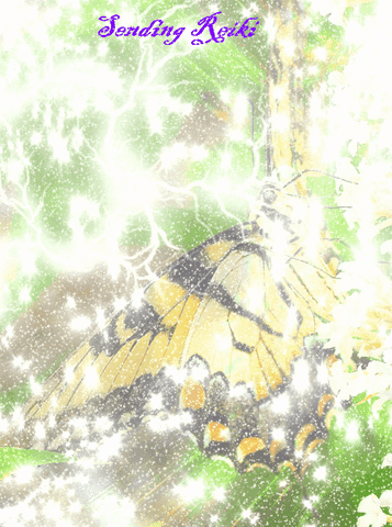 kevinschobertkio  GIF